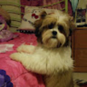 Meet your Posher, Edmad21